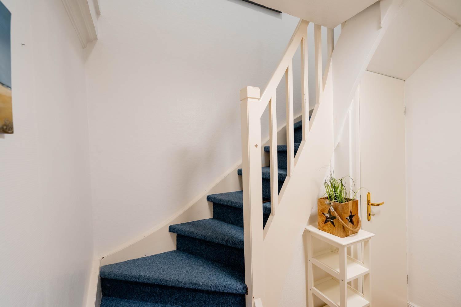 Nemo Apartment